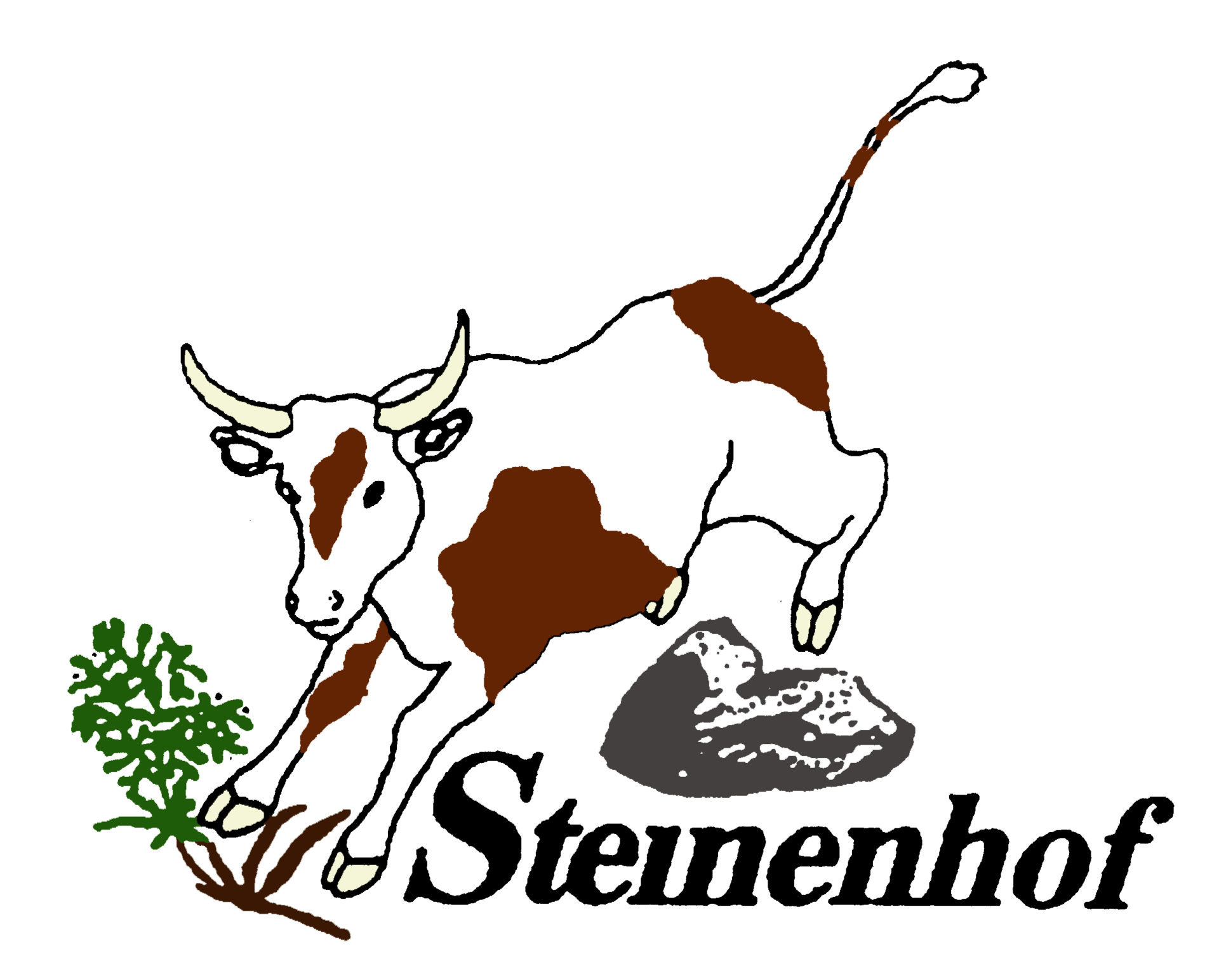 Steinenhof Logo